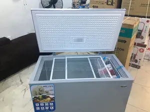 Nexus 320 L Double Door Freezer – Clean Interior, Good Seal