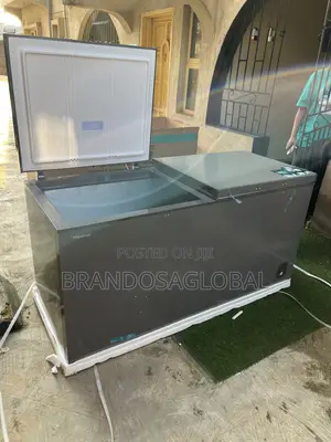 Hisense 500l FRZ Fc 66dd Dual Door Freezer Strong Build