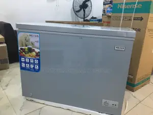 Nexus 320 L Double Door Chest Freezer – Ideal for Market Traders
