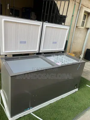 Hisense 500l Freezer FRZ Fc 66dd Large Dual Door Silver