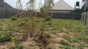 900sqm. Estate Land for Sale