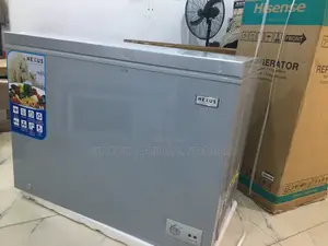 Nexus 320 L Double Door Chest Freezer — Cool Strong Freeze