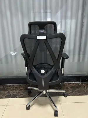 Black Mesh Ergonomic Office Chair With Adjustable Arms and Headrest