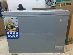 Nexus 320 L Freezer – Bulk Capacity, Working Condition