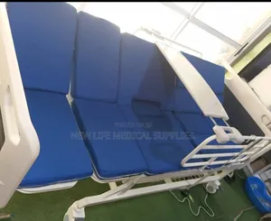Electric Icu Nursing Care Bed
