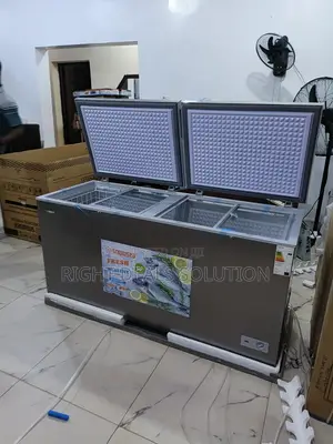 Snowsea Bd700 Polarking Commercial Deep Freezer