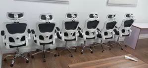 Ergonomic Office Chair