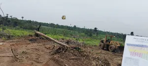 Ibile Farm City Abeokuta Now Selling