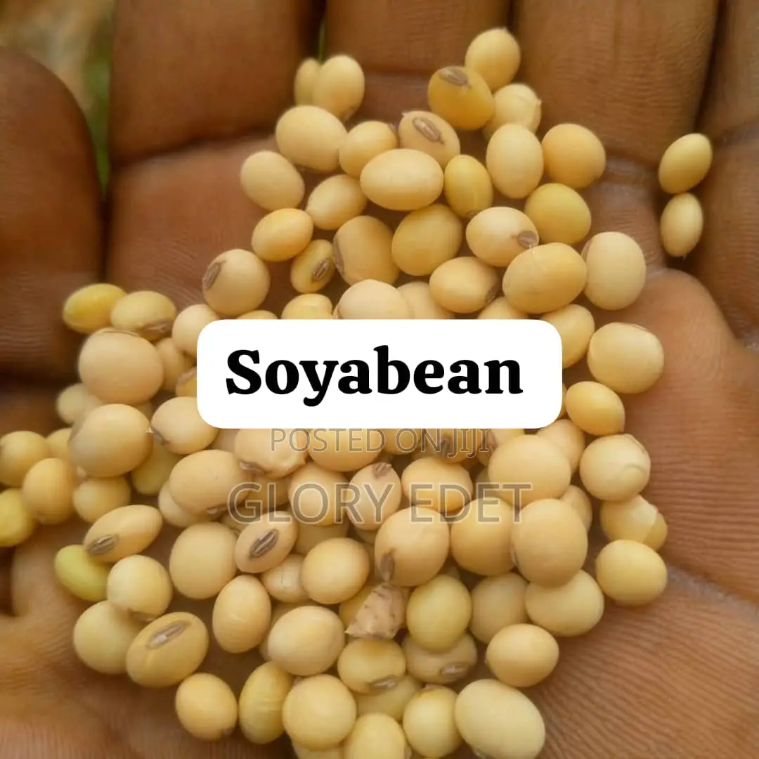 Soyabeans (Any Quantity)