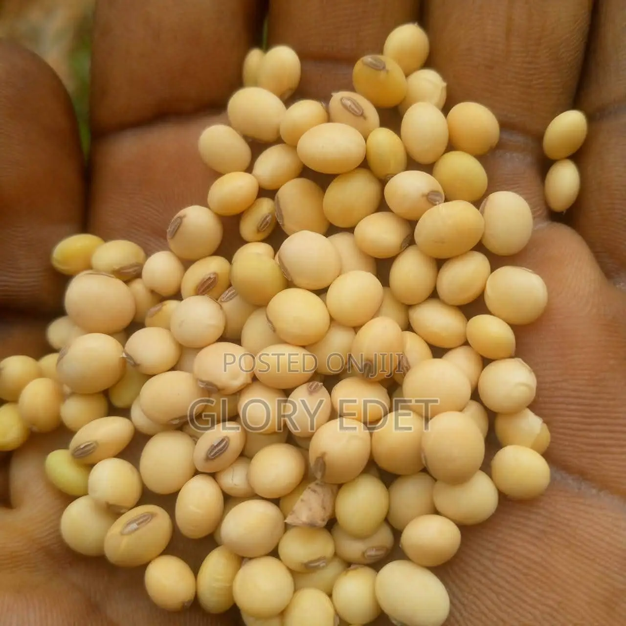 Soyabeans (Any Quantity)