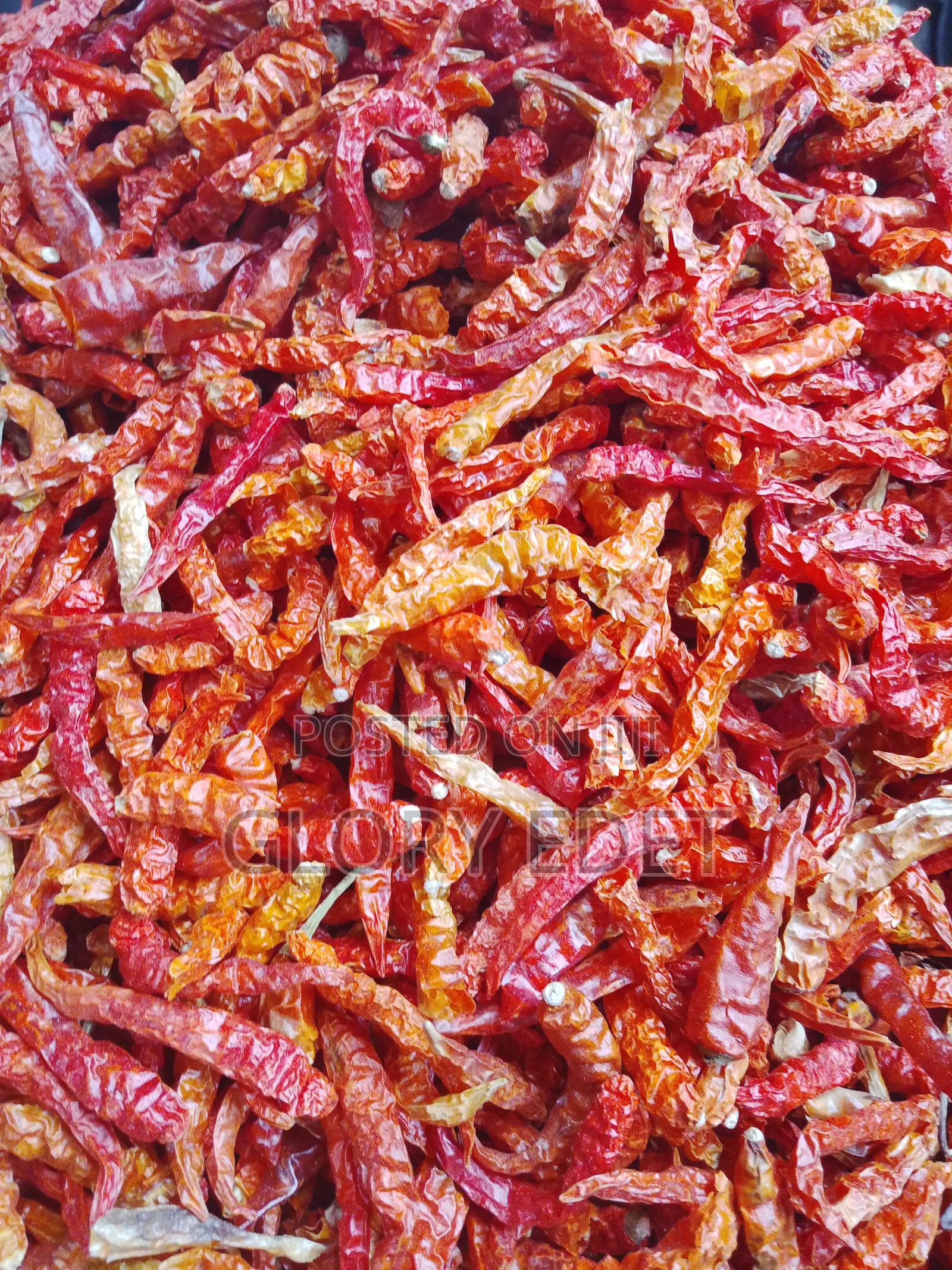 Hot Long Pepper