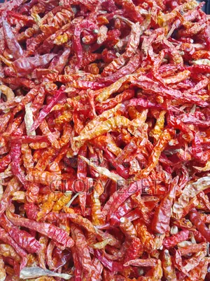 Hot Long Pepper