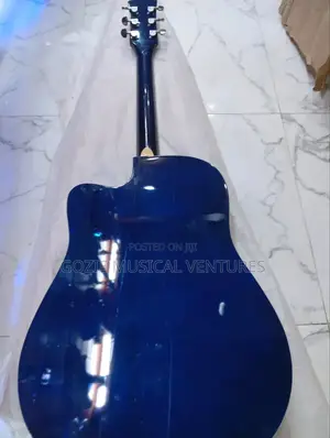 Semiger Electro Acoustic Guitar