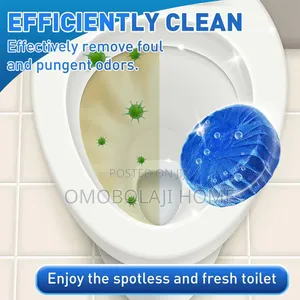 10 Pieces Toilet Cleaner