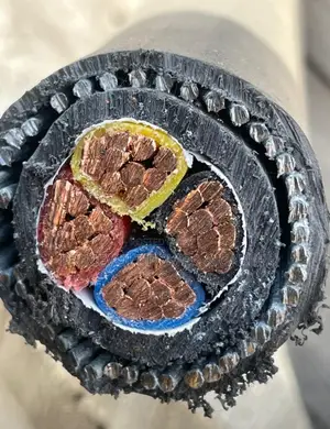 50mm 4core Coleman