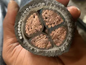 185mm Armoured Cable