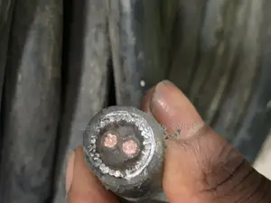 10mm 2core Armoured Cables