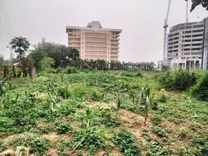 3000 Square Meters Buildable Land