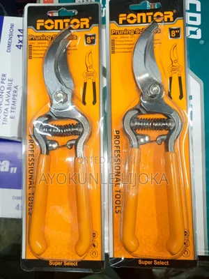 Pruning Scissors