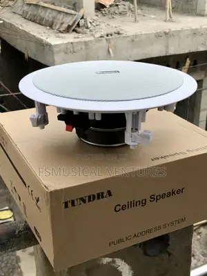 Tundra 80watts Ceiling Speakers