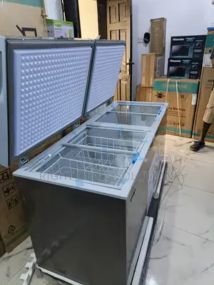 Snowsea Bd700 Commercial Deep Freezer
