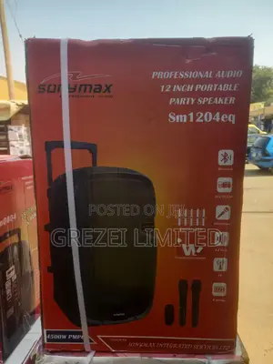 Sony Max Pa System