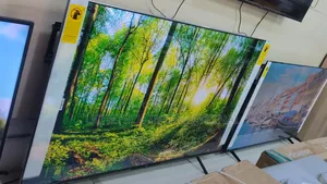 Hisense Q6