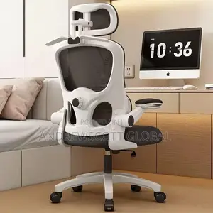 Brand New Imported Executive Office Chair