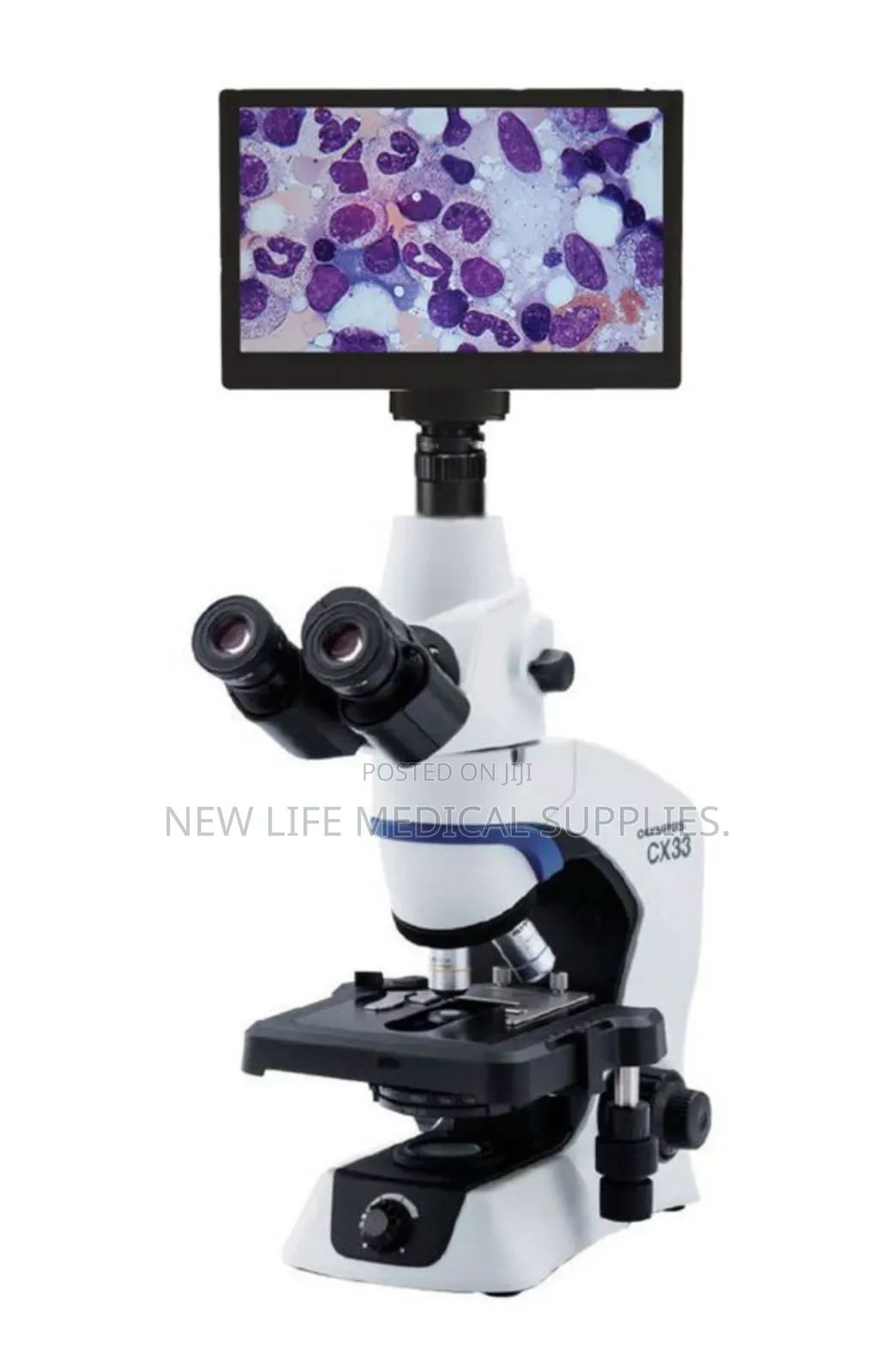 C33 Olympus Microscope