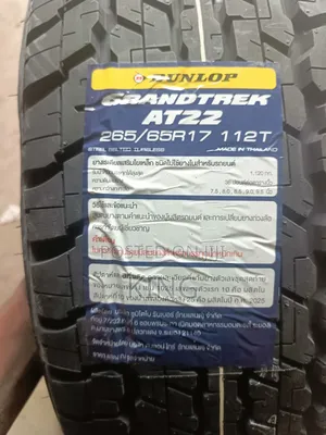 265/65r17 Dunlop