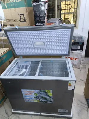 Snowsea Bd-308 Deep Freezer 200l – Anti-Rust Body