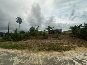 Genuine Land With C of O Ibefun Ogun State