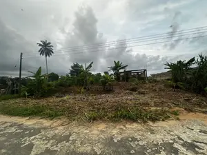 Genuine Land With C of O Ibefun Ogun State