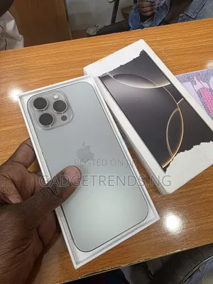 Apple iPhone 16 Pro Max 256 GB Gray