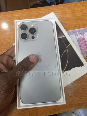 Apple iPhone 16 Pro Max 256 GB Gray