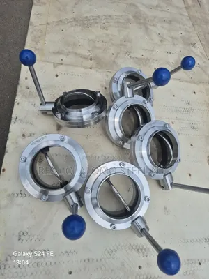 Dn100 Butterfly Valve Ss