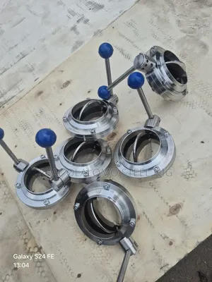 Dn100 Butterfly Valve Ss