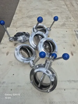 Dn100 Butterfly Valve Ss