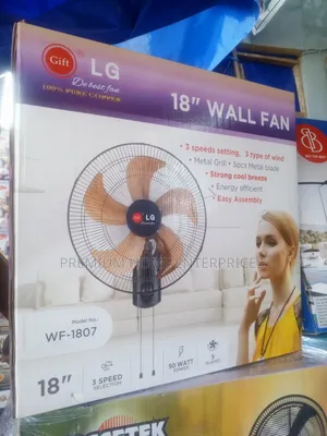 Gift Lg Wall Fan 18 Inches