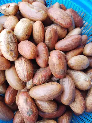 Peanut Groundnut