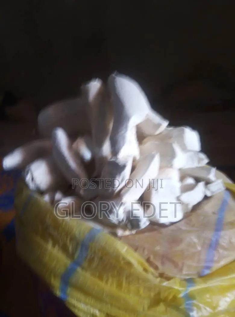 Dried Peeled Cassava