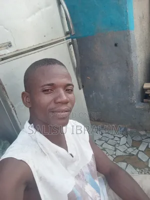 Am Truck Driver