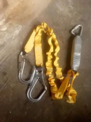 Double Hook Lanyard