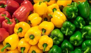 Sweet Bell Pepper
