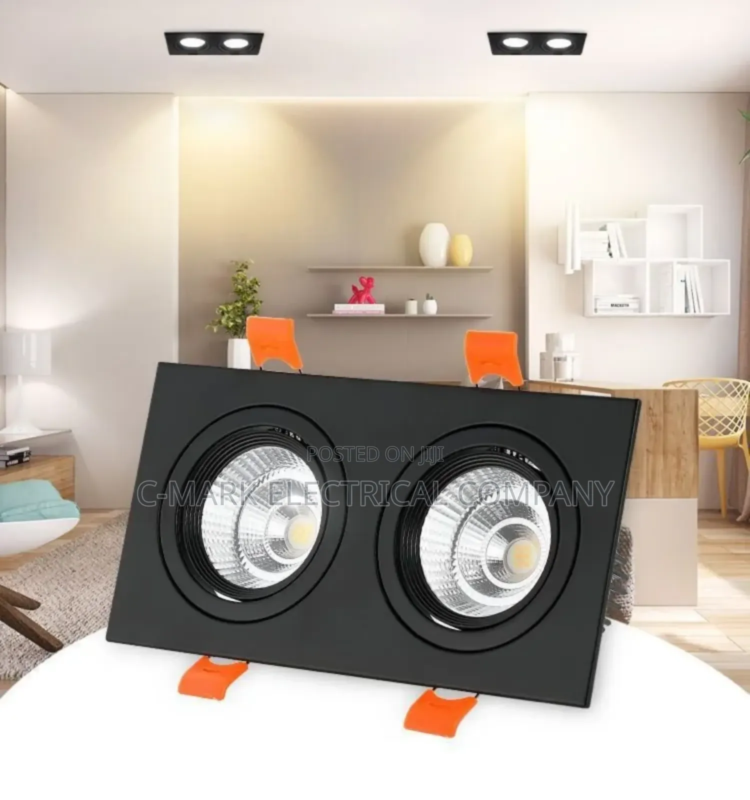 Double Head Square Cob Down Light 20w 30w
