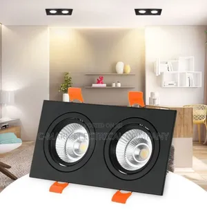 Double Head Square Cob Down Light 20w 30w