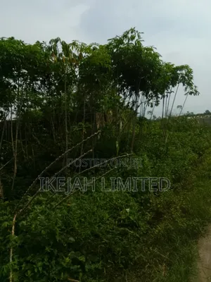 A Full Plot of Land for Sale at Epe