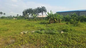 For Sale - 302 Plots (C of O) at Rupokwu, Port Harcourt