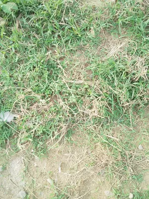 Land For Sale At Admiralty Way