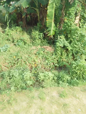 A Plot Of Land With Demolish Able Bungalow Selling